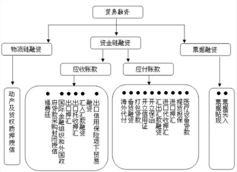 国际贸易专业的未来之路:如何开启职业生涯